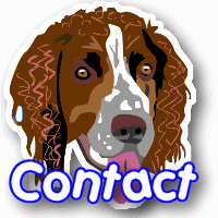 link to newport dog walking contact page